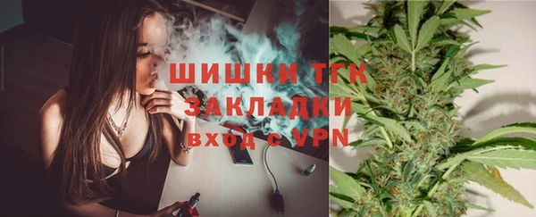 мет Алексин