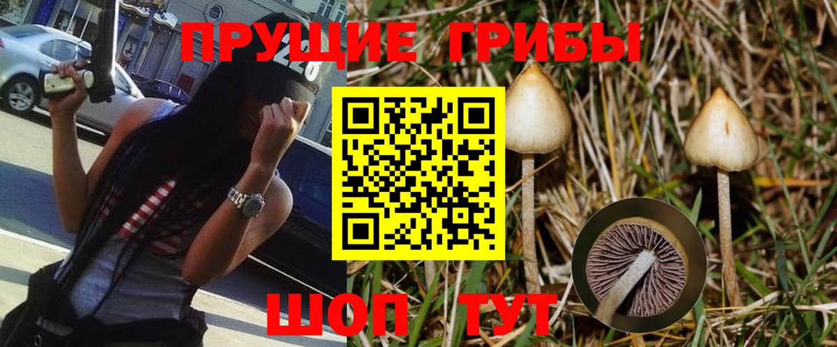 Галлюциногенные грибы ЛСД  Псилоцибиновые грибы прущие грибы  Ставрополь  Вход с VPN 