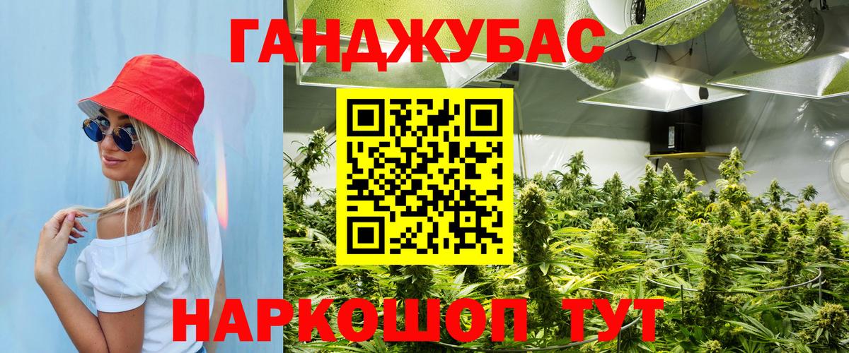 Марихуана SATIVA & INDICA  Бошки марихуана план  Шишки марихуана тримм  Вход с VPN  Ставрополь 